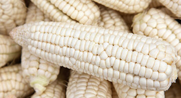 DECRETO por el que se modifican diversos ordenamientos jurídicos relativos a los aranceles aplicables al maíz blanco (Ver publicación).